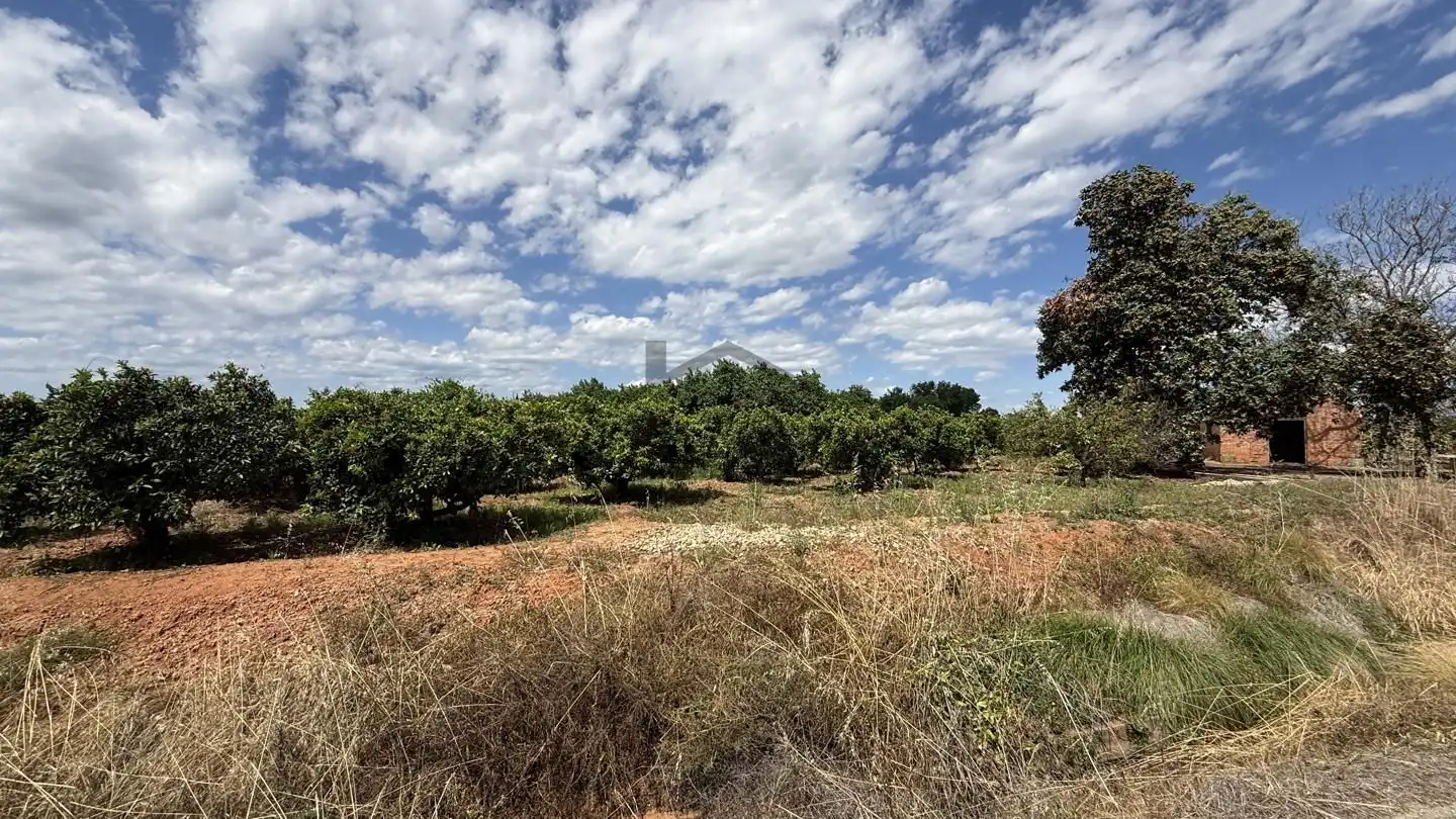 Land for sale in Rafelguaraf