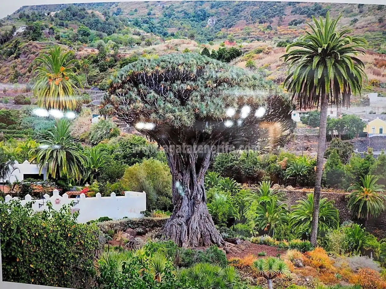 Casa en venda a Icod de los Vinos pueblo, imagen 61