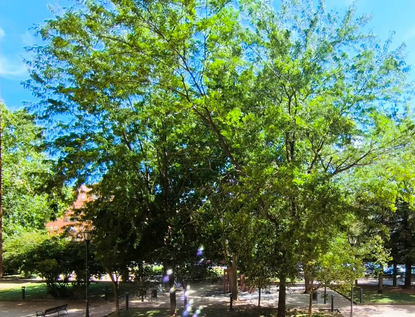 Vista exterior de Pis en venda en Palencia amb Calefacció, Parquet i Moblat
