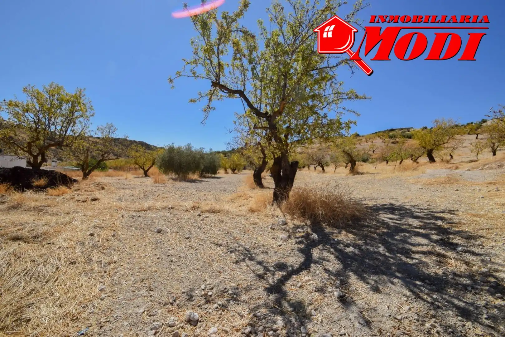 Finca rústica en venda en Cacín amb Jardí privat