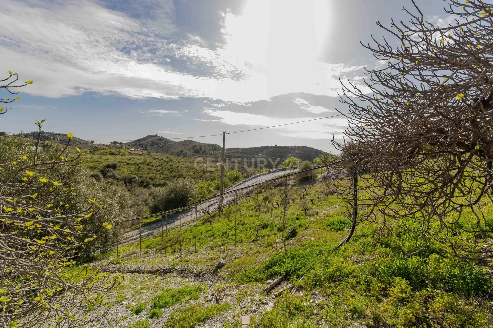 Maison à vendre à 18670 Vélez de Benaudalla, Spain, imagen 52