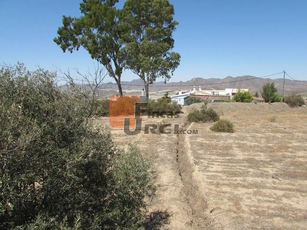 Terreny residencial en venda a Tébar - Los Arejos, imagen 3