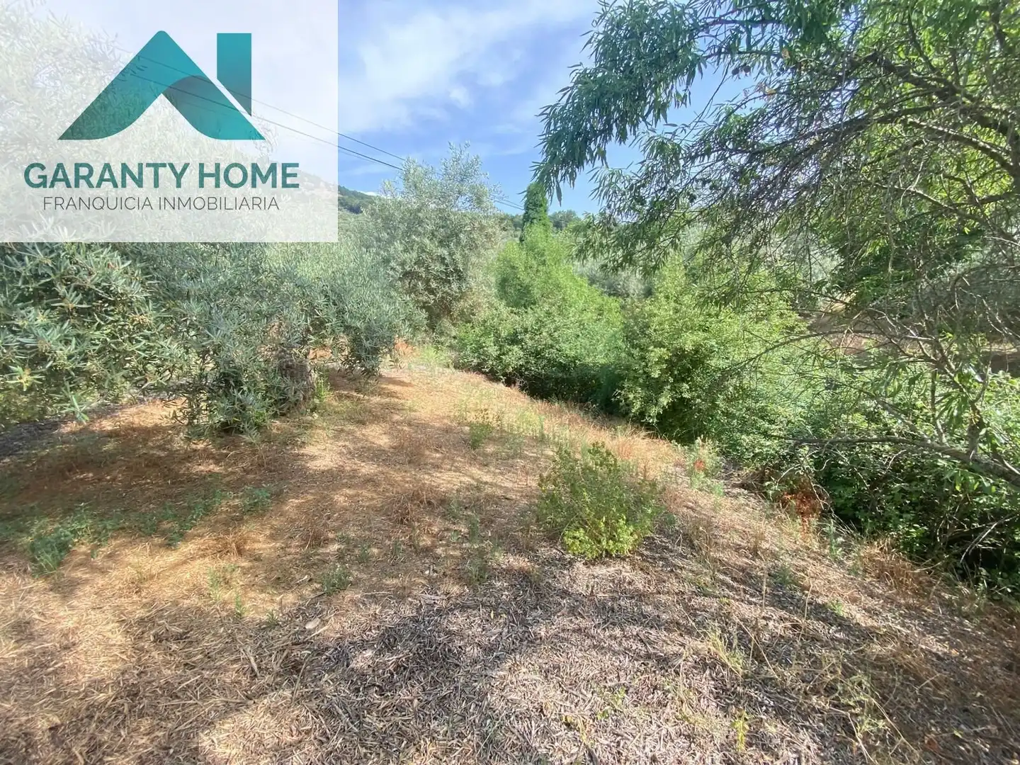 Terreno en venta en Valdepeñas de Jaén