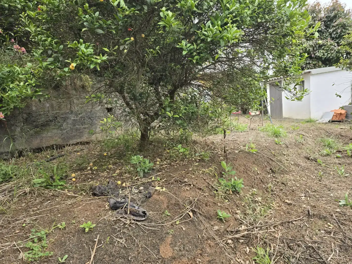 Casa o xalet en venda en Tacoronte amb Balcó