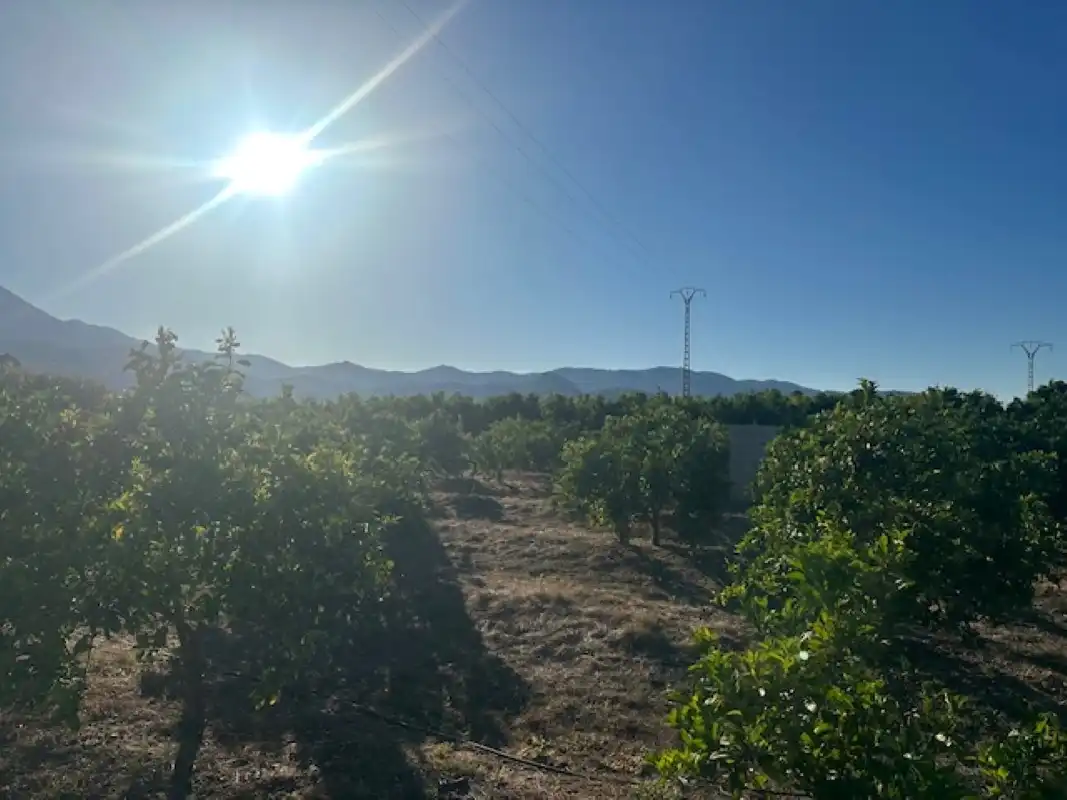 Terreno en venta en Xeresa