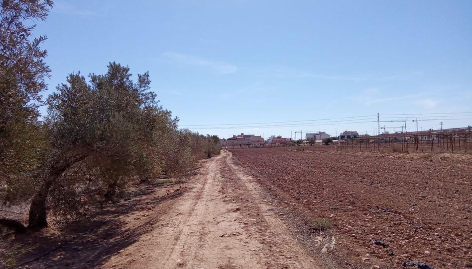 Photo 1 of Residential for sale in Pilar de la Horadada ciudad, Alicante