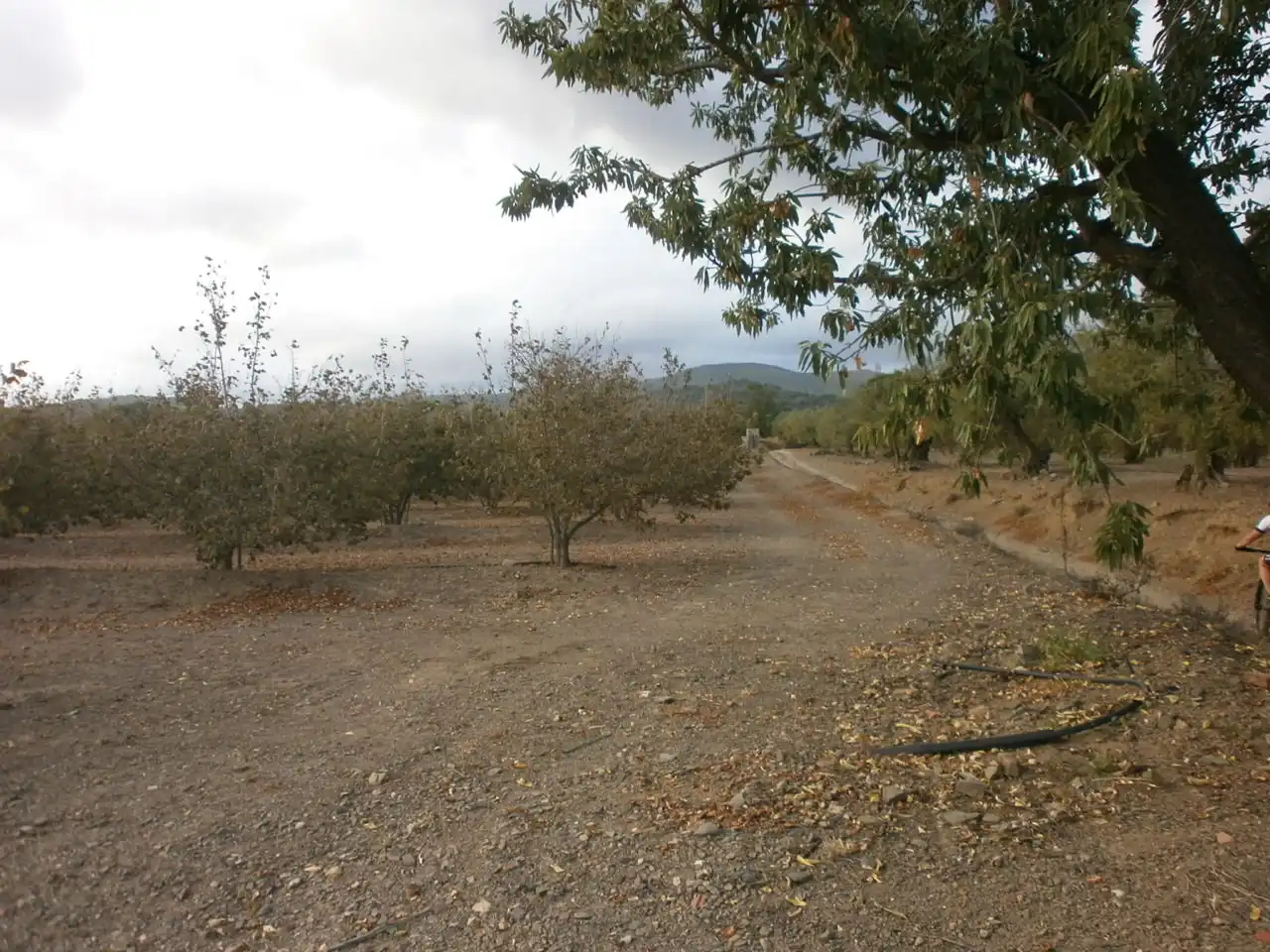 Rural land for sale in Carrer Pont del Cinto, imagen 6