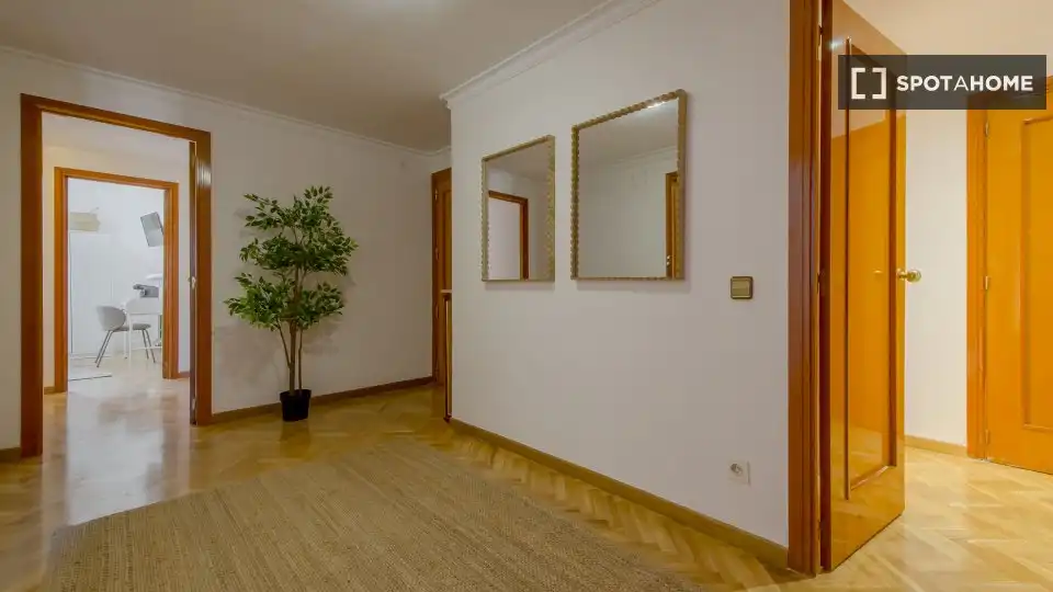 Room in Estrella