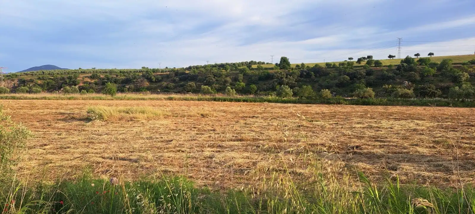 Land for sale in El Puente del Arzobispo