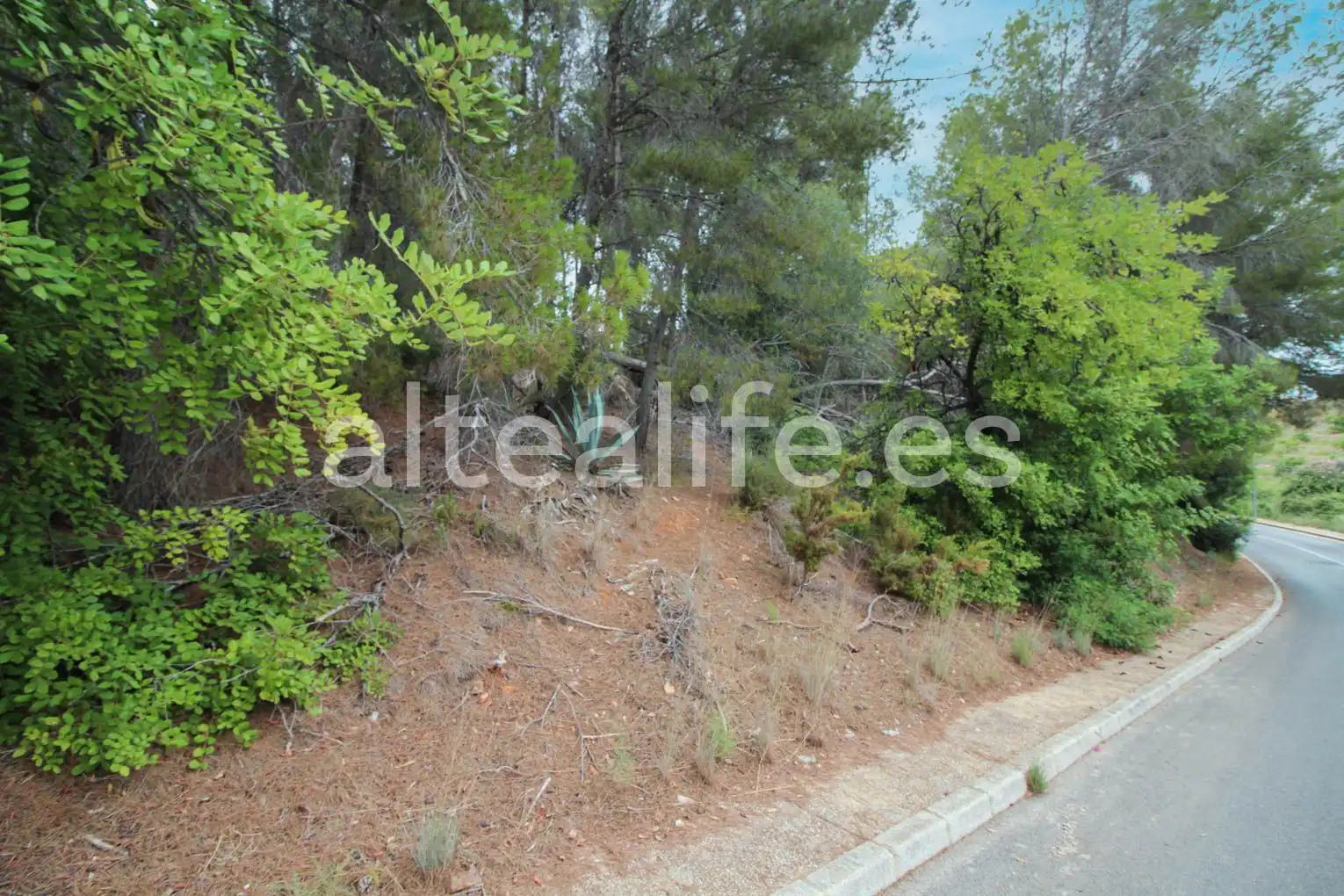 Terreny residencial en venda a Carrer Figuera, imagen 5