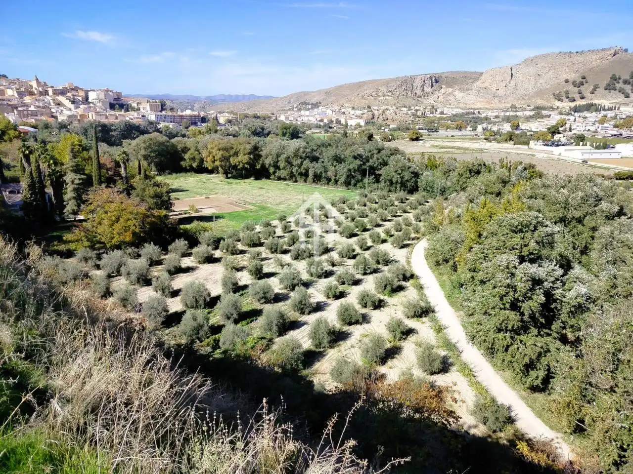 Terreni e lotti in vendita a Loja