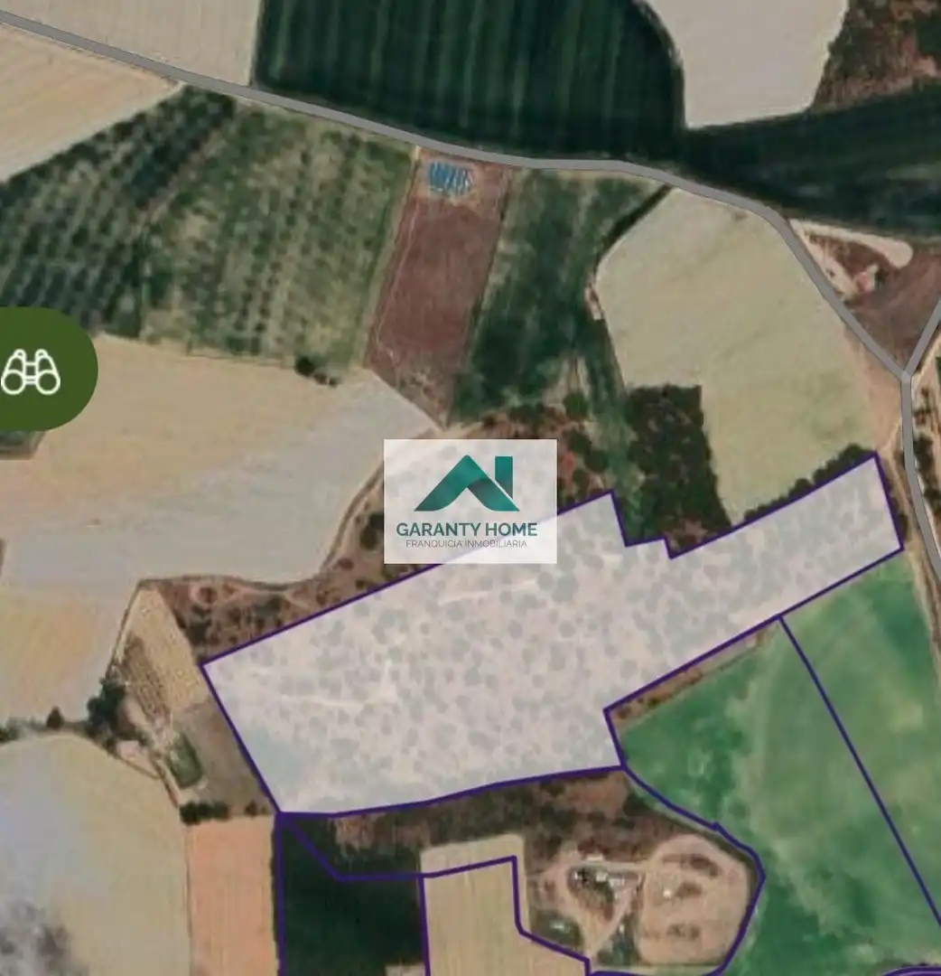 Terreno rústico en venta en Tordesillas