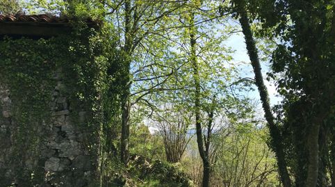 Venta de cuadra de piedra en finca rústica de 18.370 m2 en zona PreParque Nacional, immagine 5