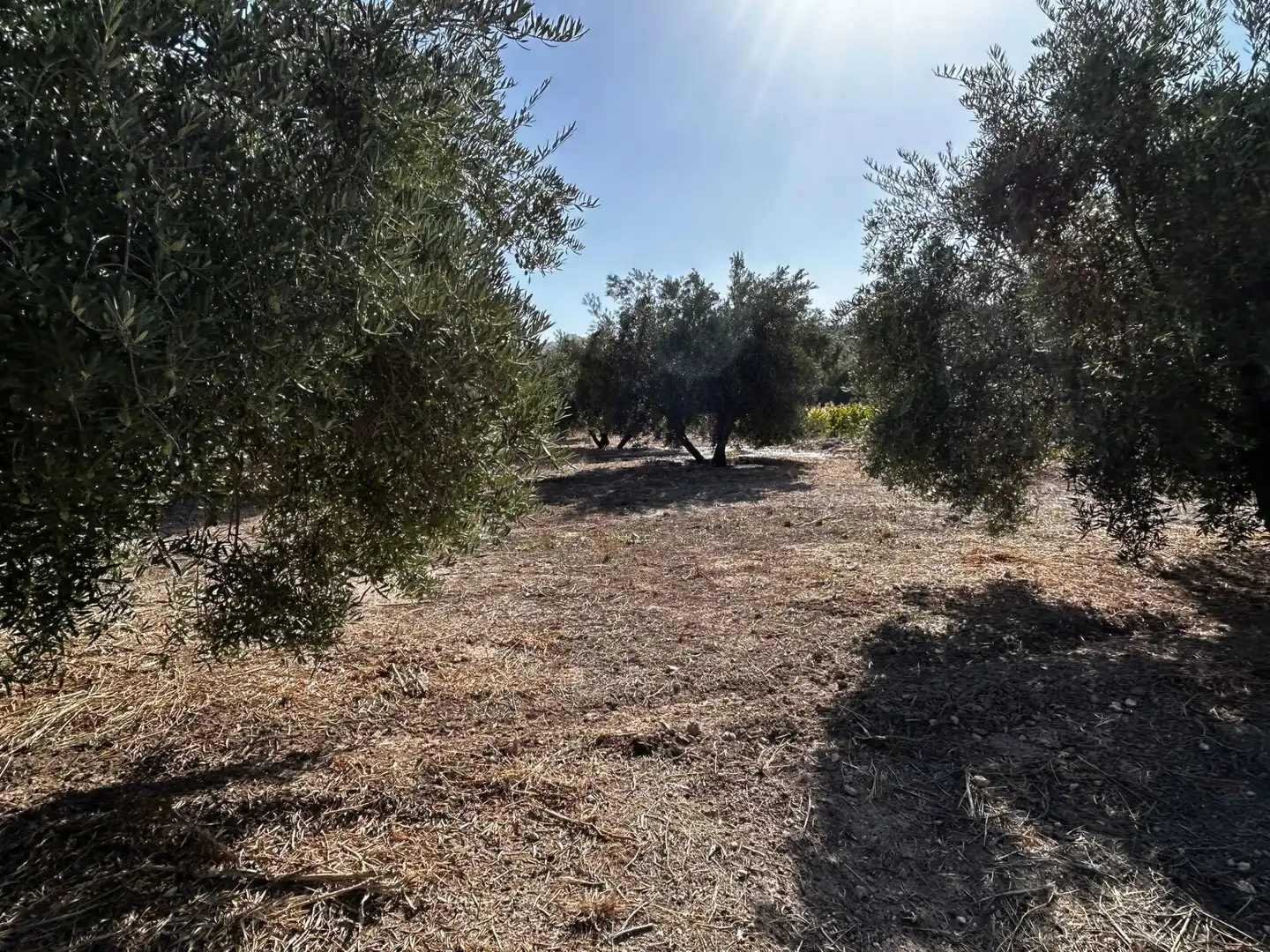 Terreni e lotti in vendita a Calicasas, imagen 22