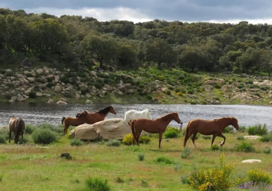Vista exterior de Finca rústica en venda en Ledesma