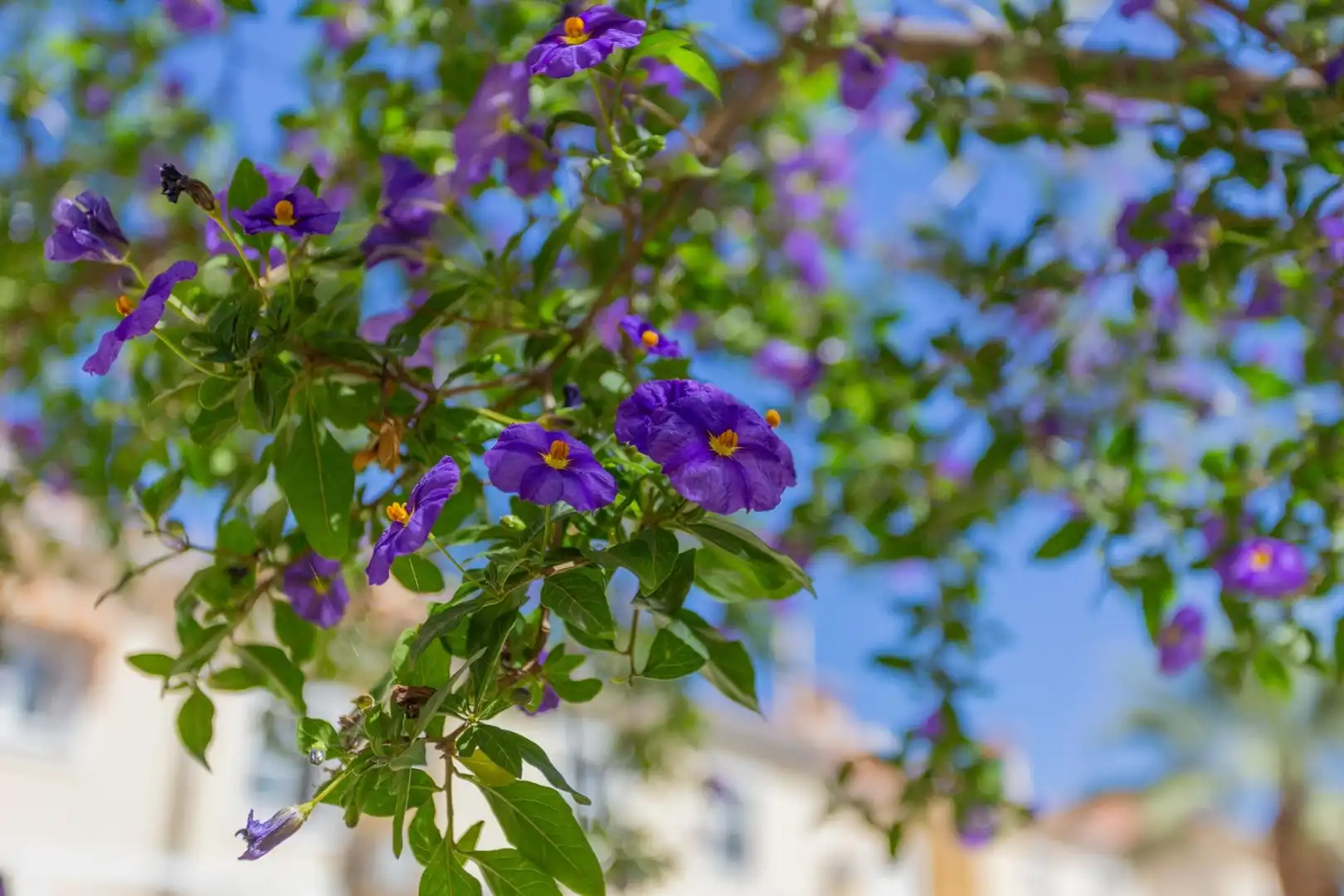 Jardí de Casa adosada en venda en Alhendín amb Moblat i Piscina comunitària