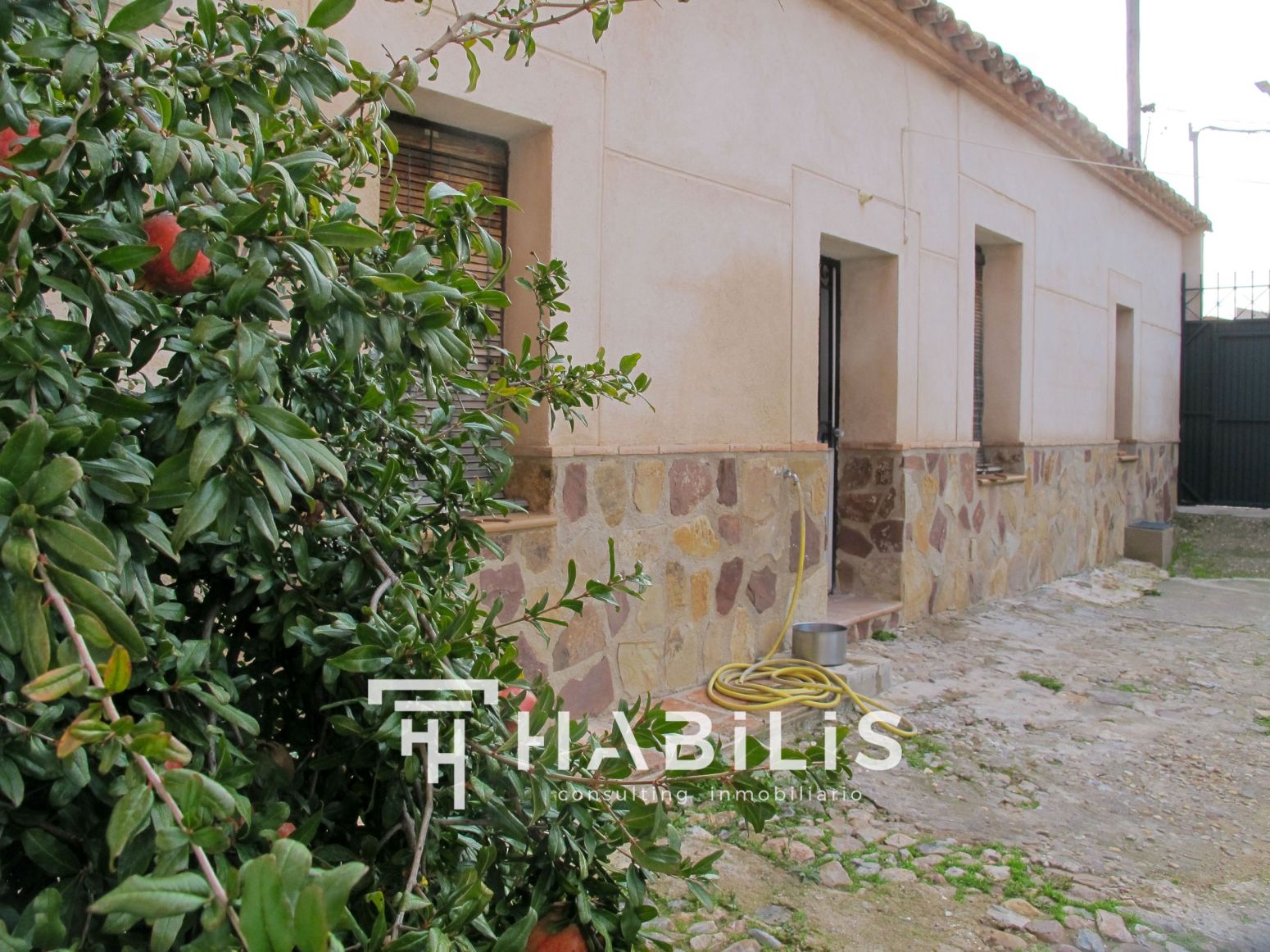 Exterior view of House or chalet for sale in Argés