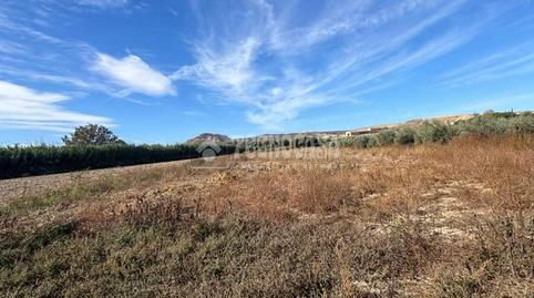 Photo 3 of Land for sale in Polideportivo, Alhendín