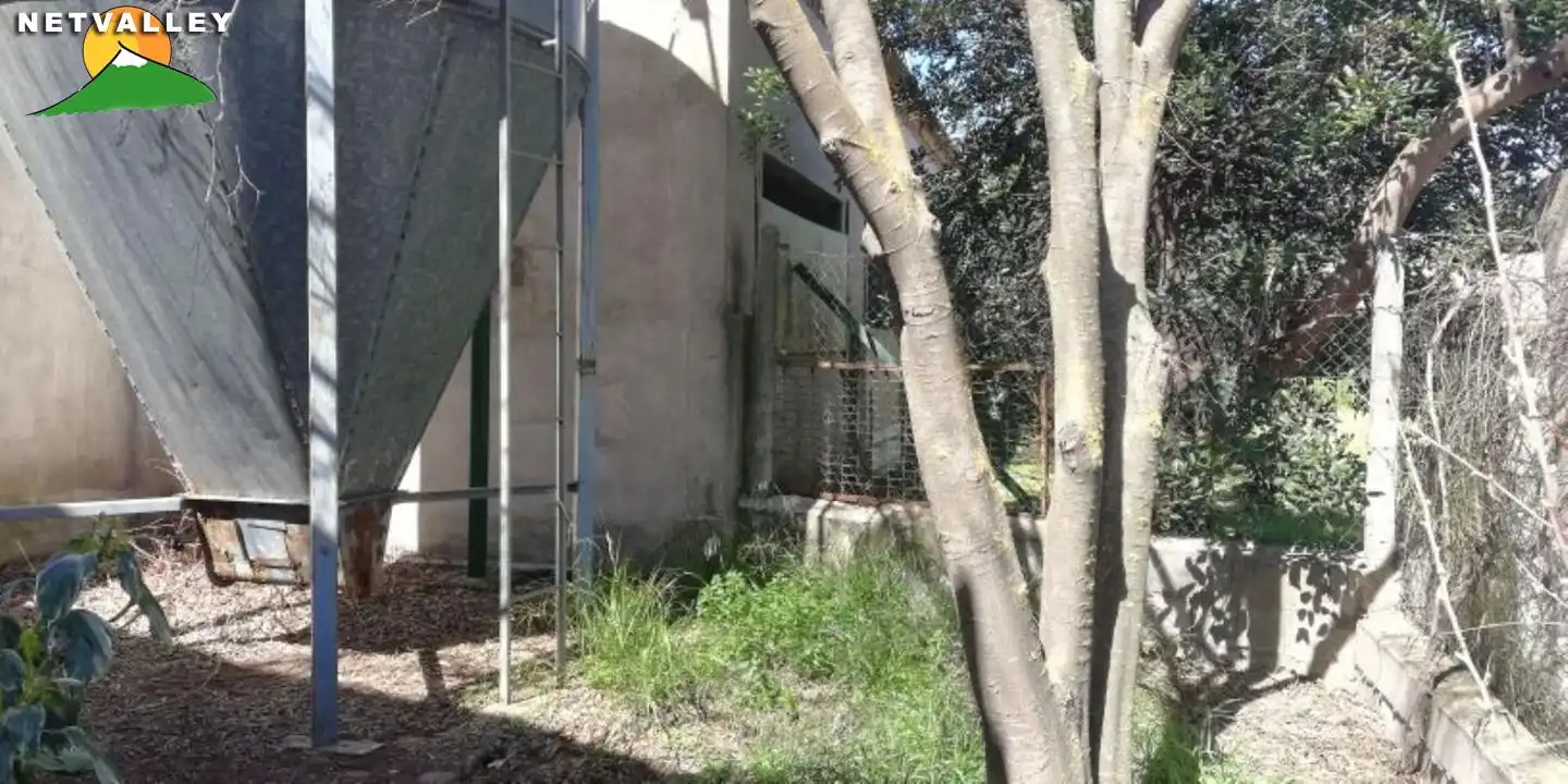 Vista exterior de Nave industrial en venta en Nigüelas