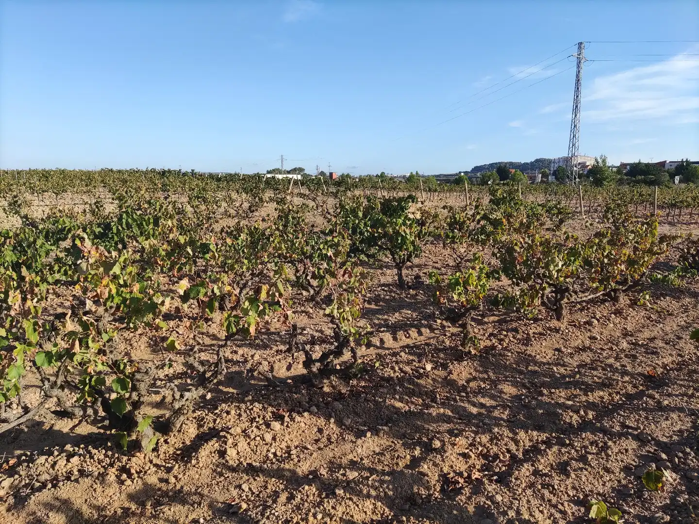Residencial en venda a El Pla del Penedès