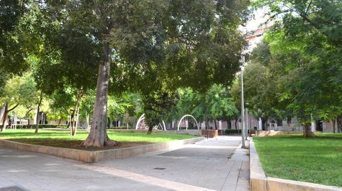 Foto 3 de Piso en venta en Es Camp Redó, Palma de Mallorca
