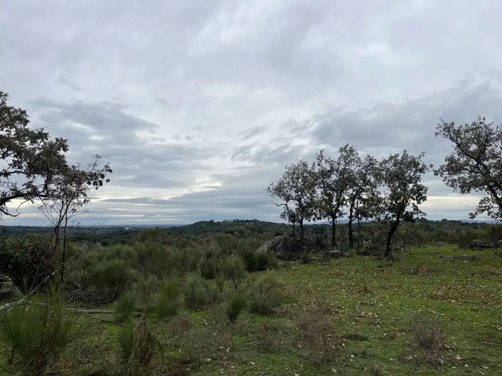 Finca rústica en venta en Valencia de Alcántara