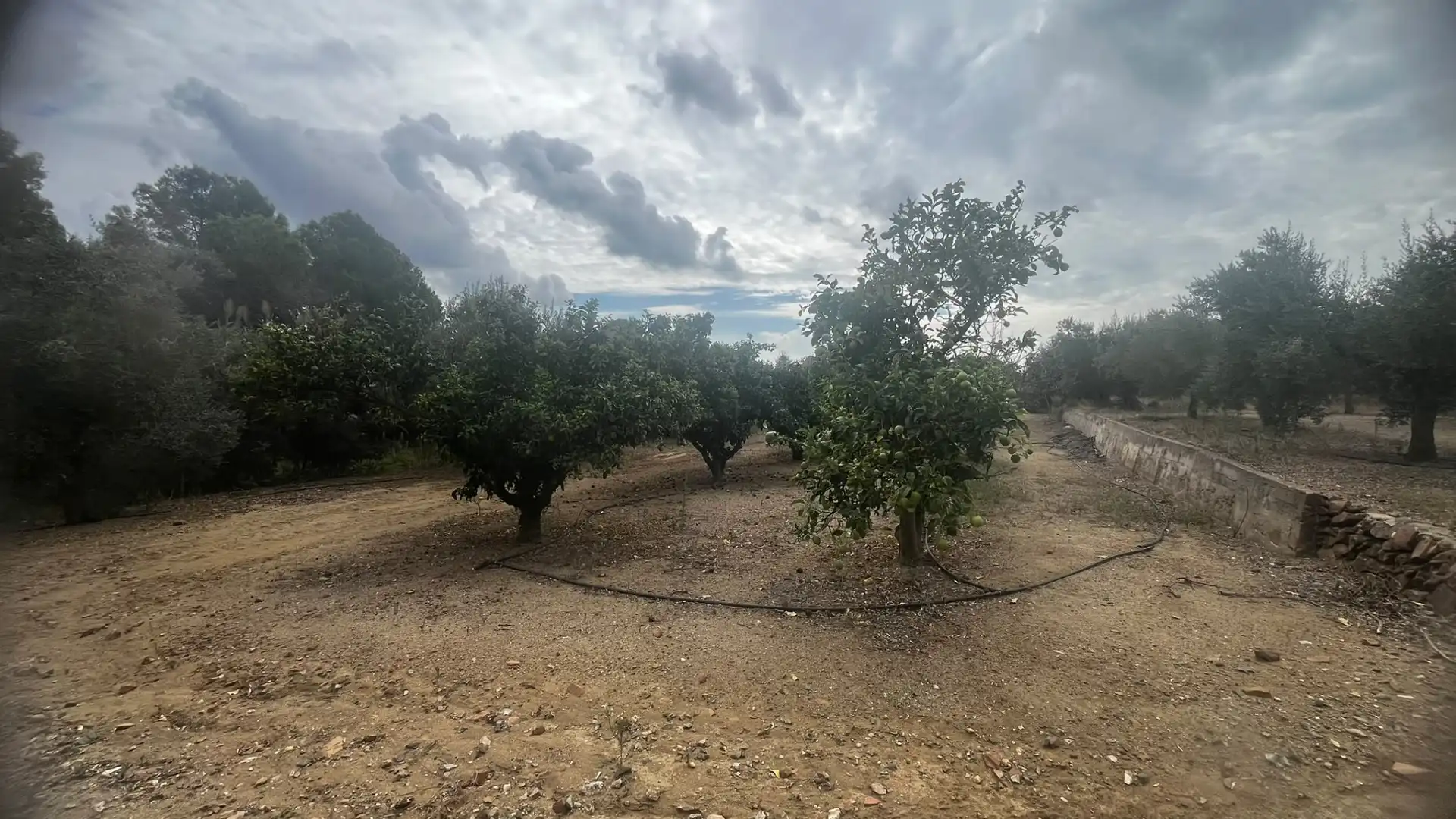 Terreno rustico in vendita a Carrer de Sant Abdó i Sant Senén, imagen 36