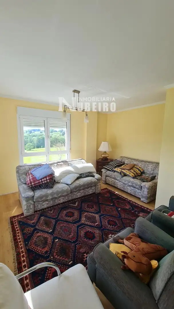 Sala d'estar de Casa o xalet en venda en Lugo amb Calefacció i Moblat