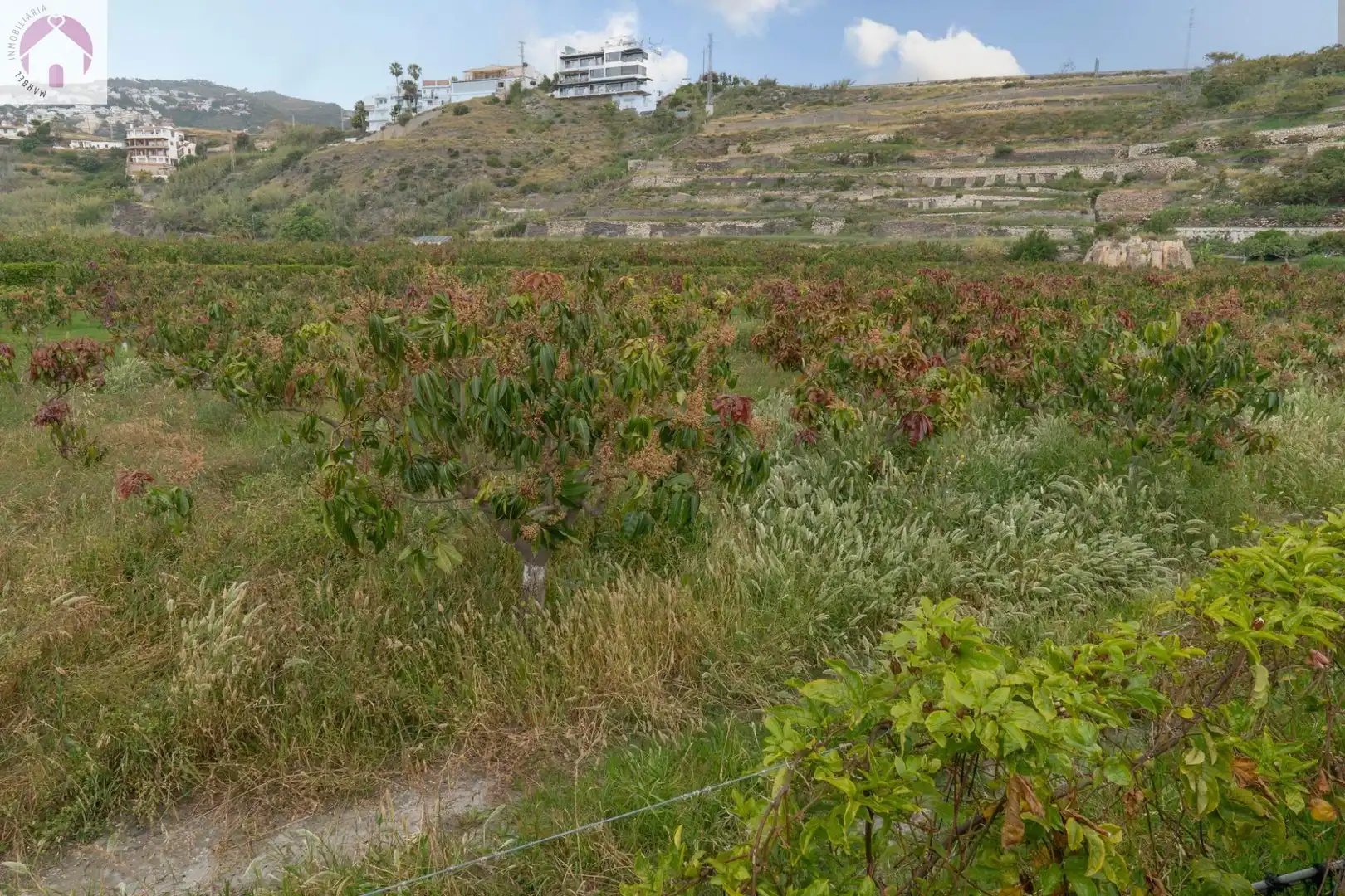 Residential for sale in CARRETERA MALAGA (CAL), 74, La Caleta - La Guardia