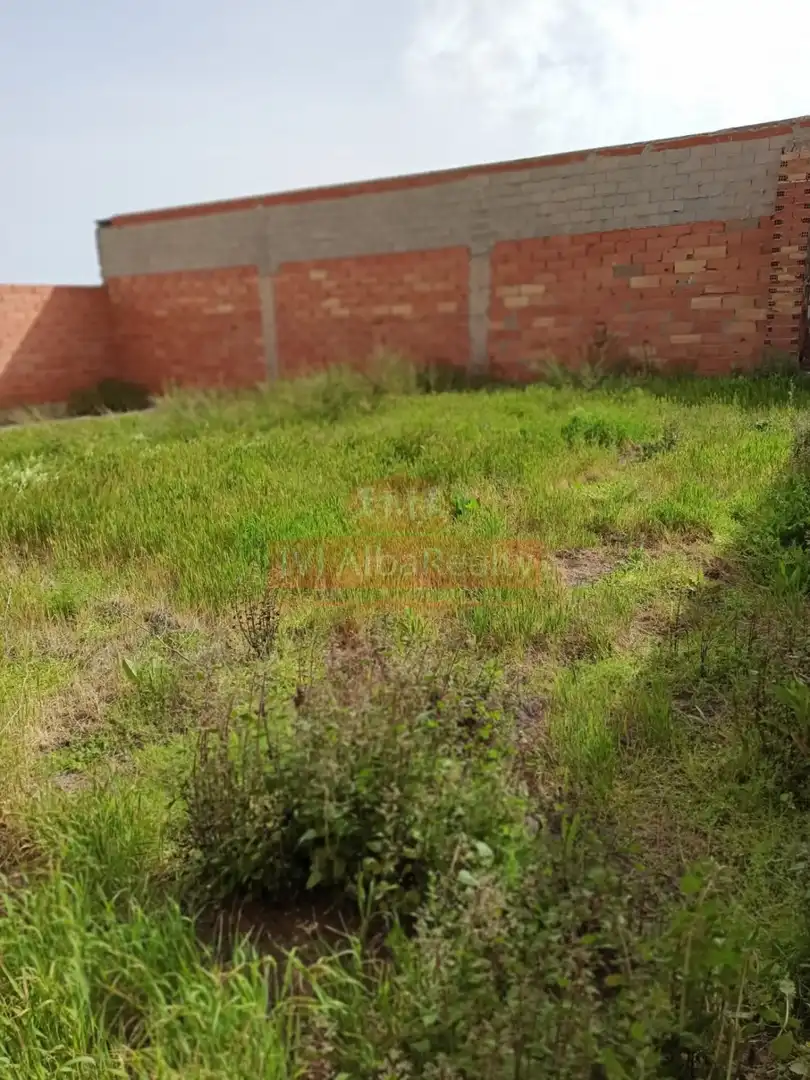 Terreni e lotti in vendita a Casas de Juan Núñez, imagen 7