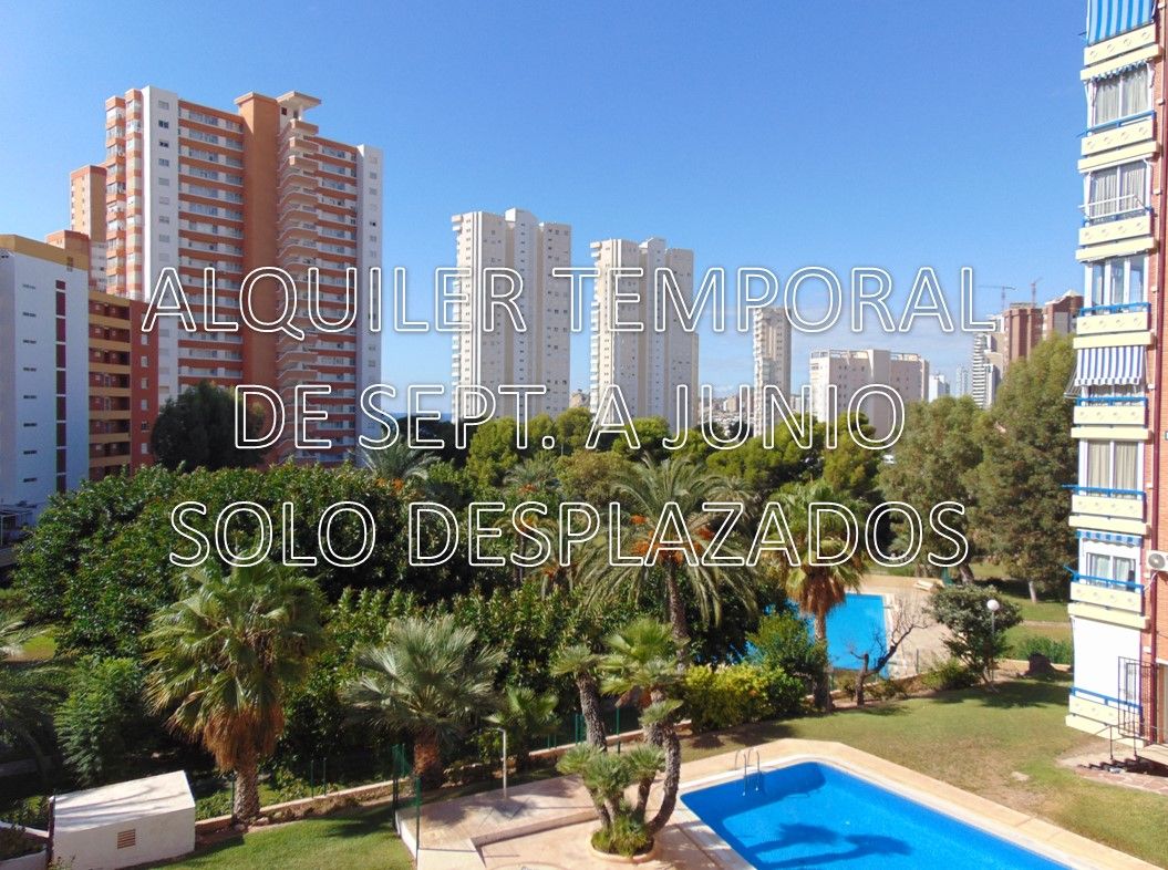 Vista exterior de Apartament de lloguer en Benidorm amb Piscina, Moblat i Piscina comunitària