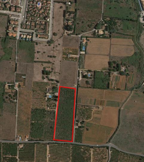 Foto 2 de Residencial en venda a El Palmar - Los Molinos, Alicante