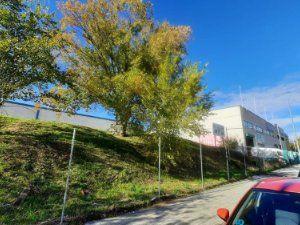 Foto 3 de Residencial en venda a Parque Ondarreta - Urtinsa, Madrid