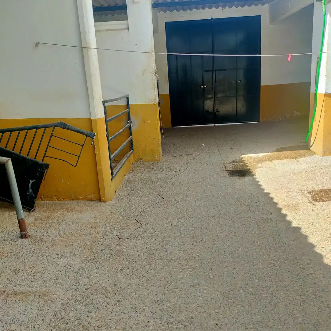 Casa en venta en El Rocío, imagen 3