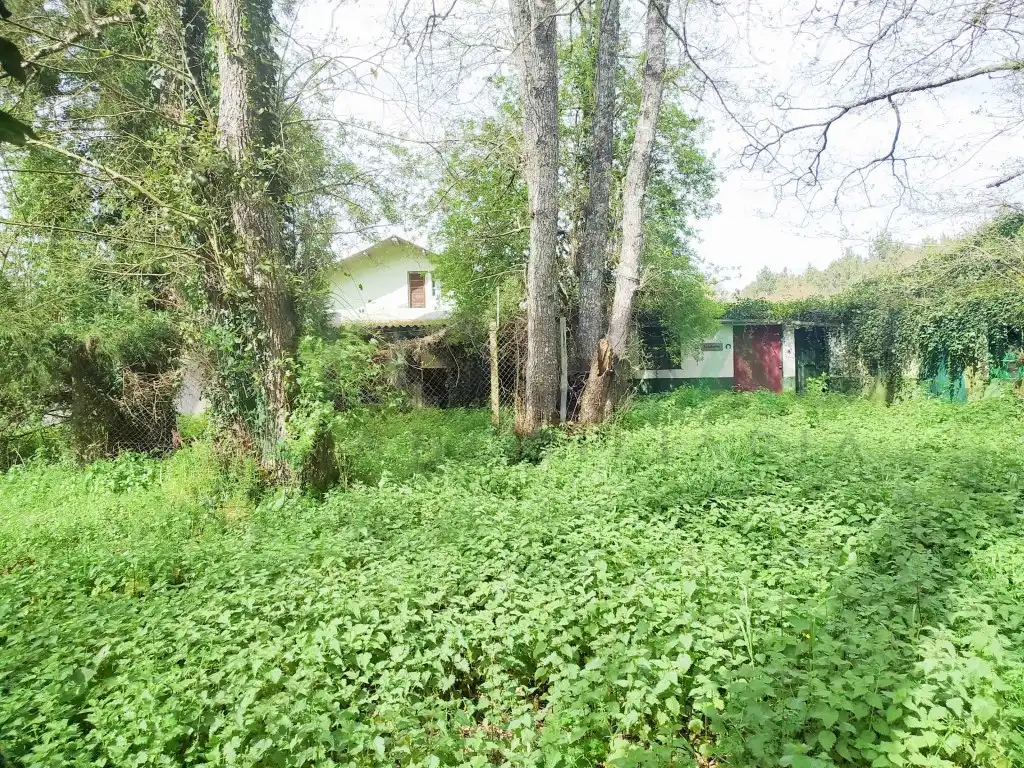 Houses for sale in Parroquias del Este