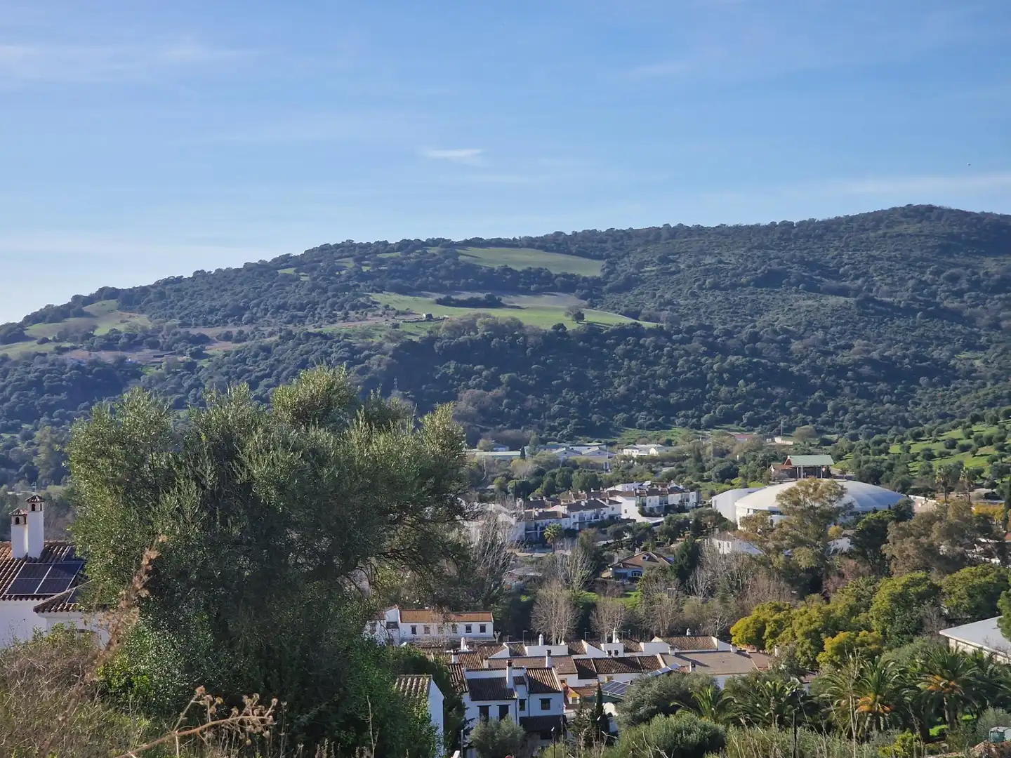 Exterior view of Ground floor for sale in El Bosque  with Terrace