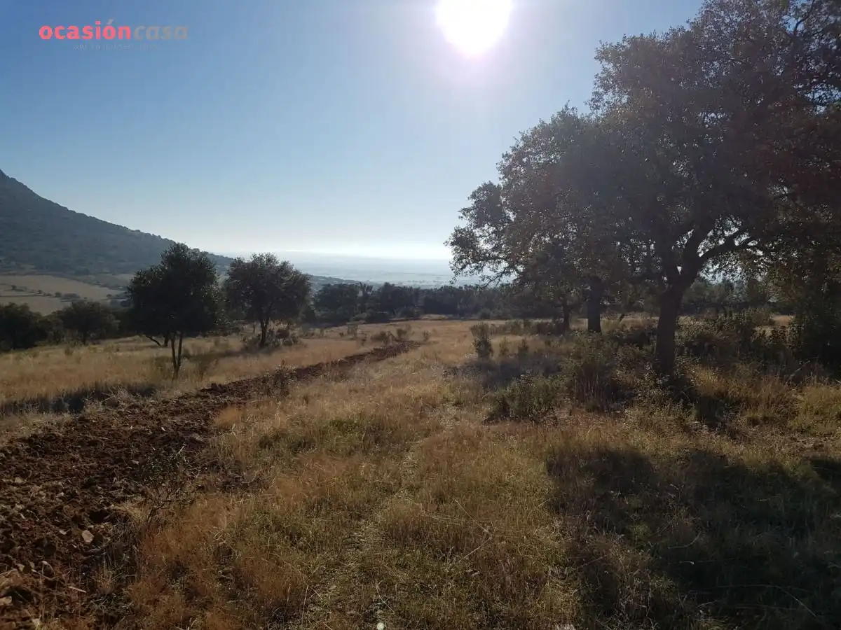 Casa o chalet en venta en Santa Eufemia