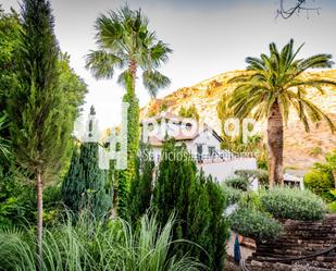 Jardí de Finca rústica en venda en Antequera amb Terrassa i Piscina