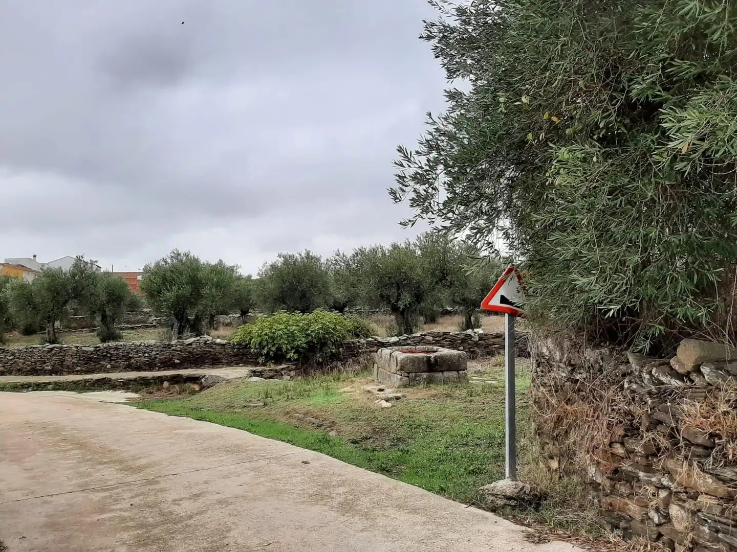 Country homes for sale in Botija