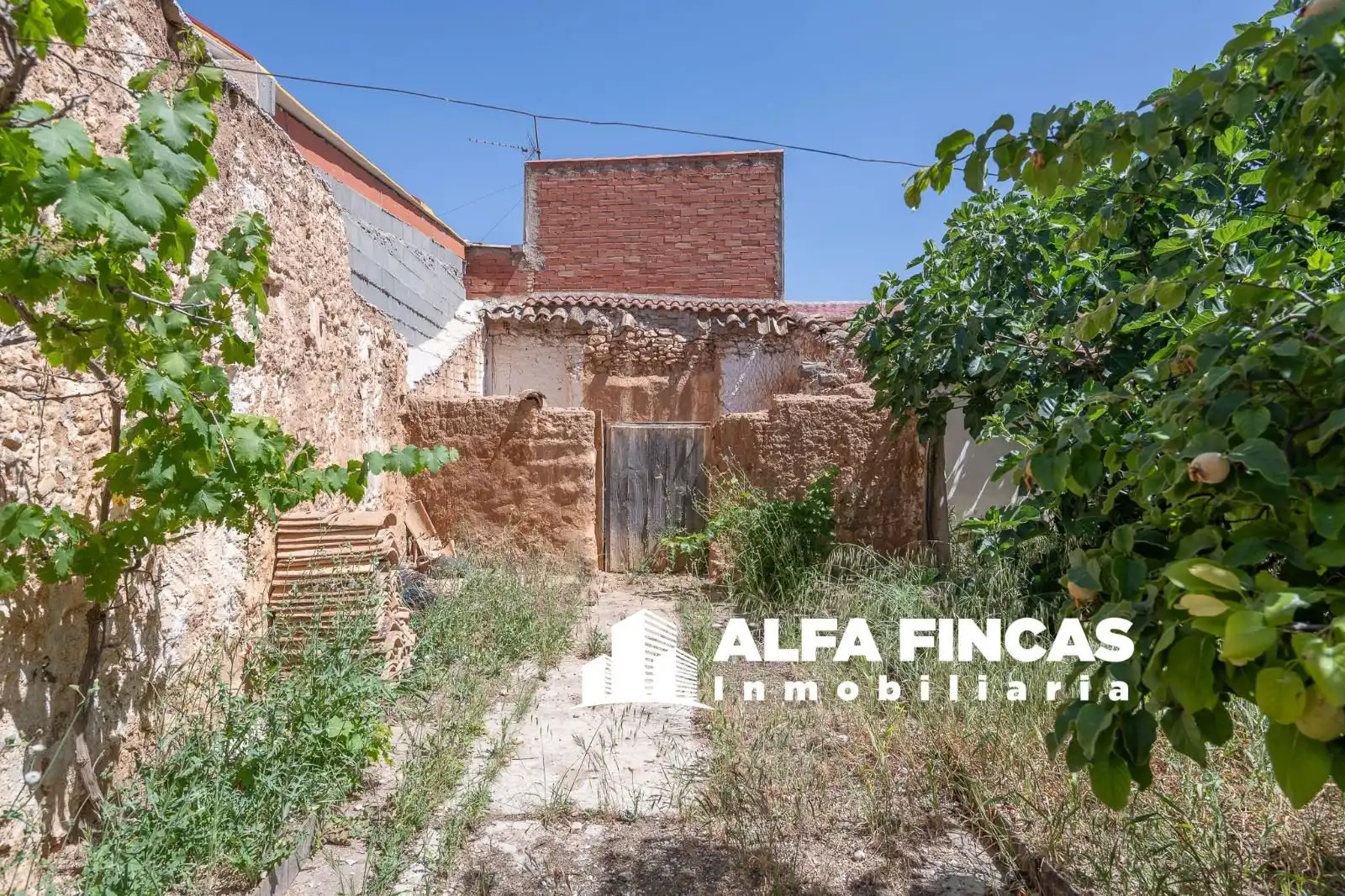 Vista exterior de Casa o xalet en venda en El Picazo   amb Jardí privat i Traster