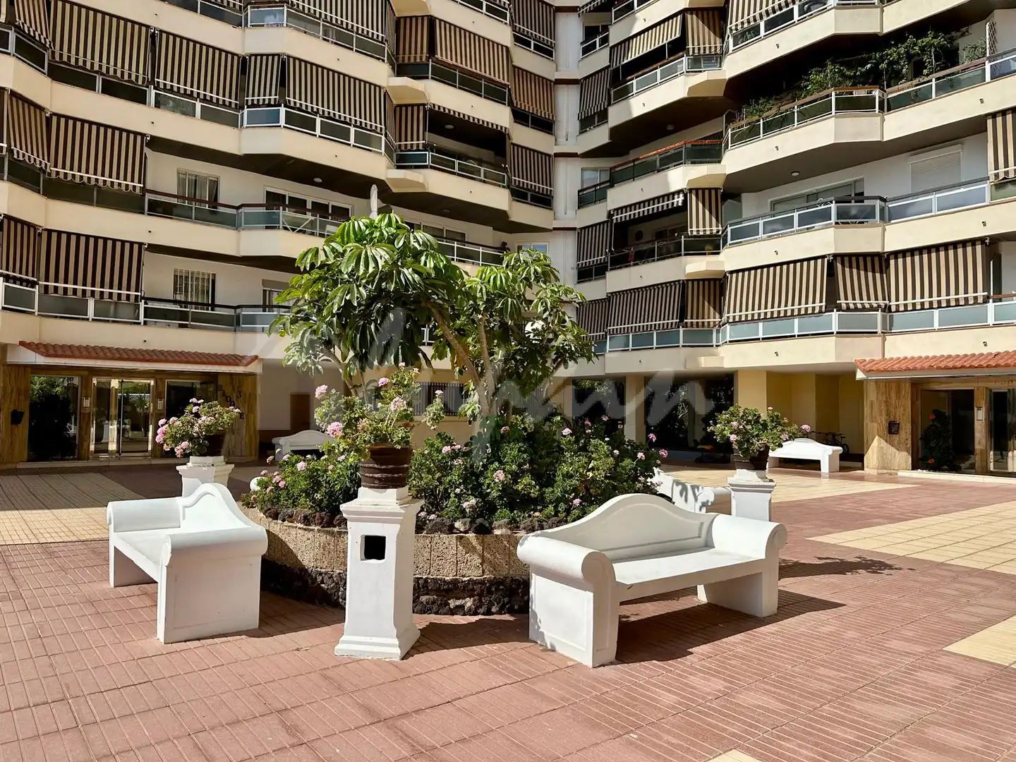 Vista exterior de Apartamento en venta en Arona