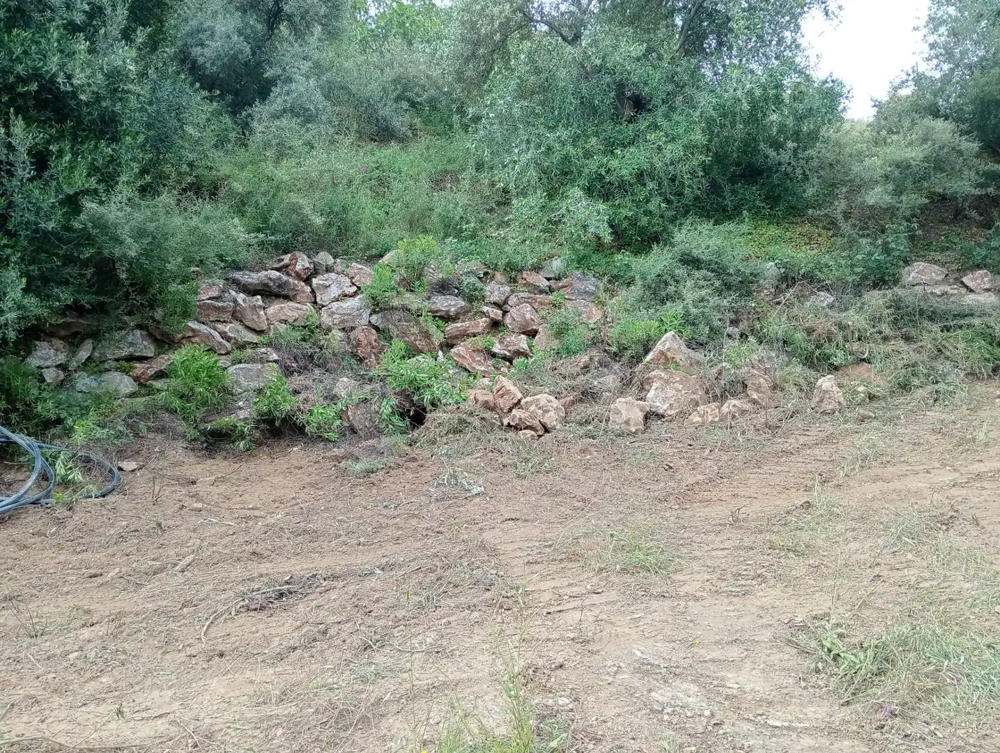 Terreno rustico in vendita a Monda, imagen 3