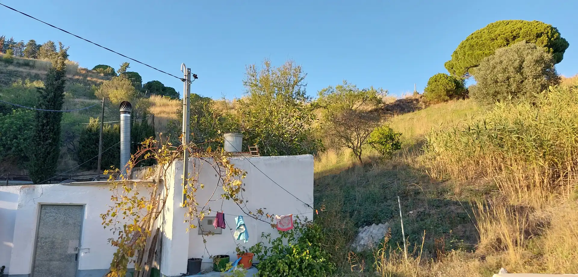 Rural land for sale in Calella, imagen 6