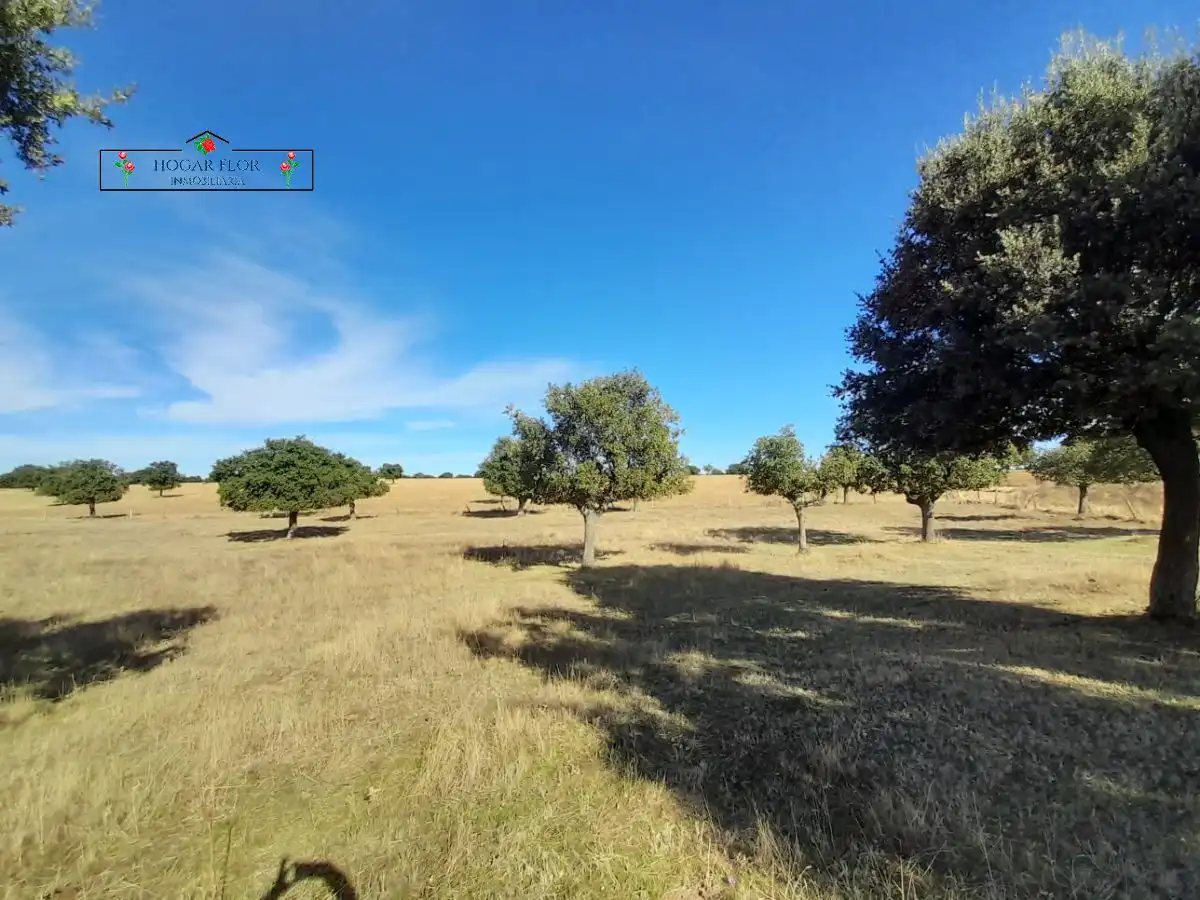 Finca rústica en venta en Carrascal del Obispo