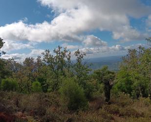 Land for sale in Castaño del Robledo