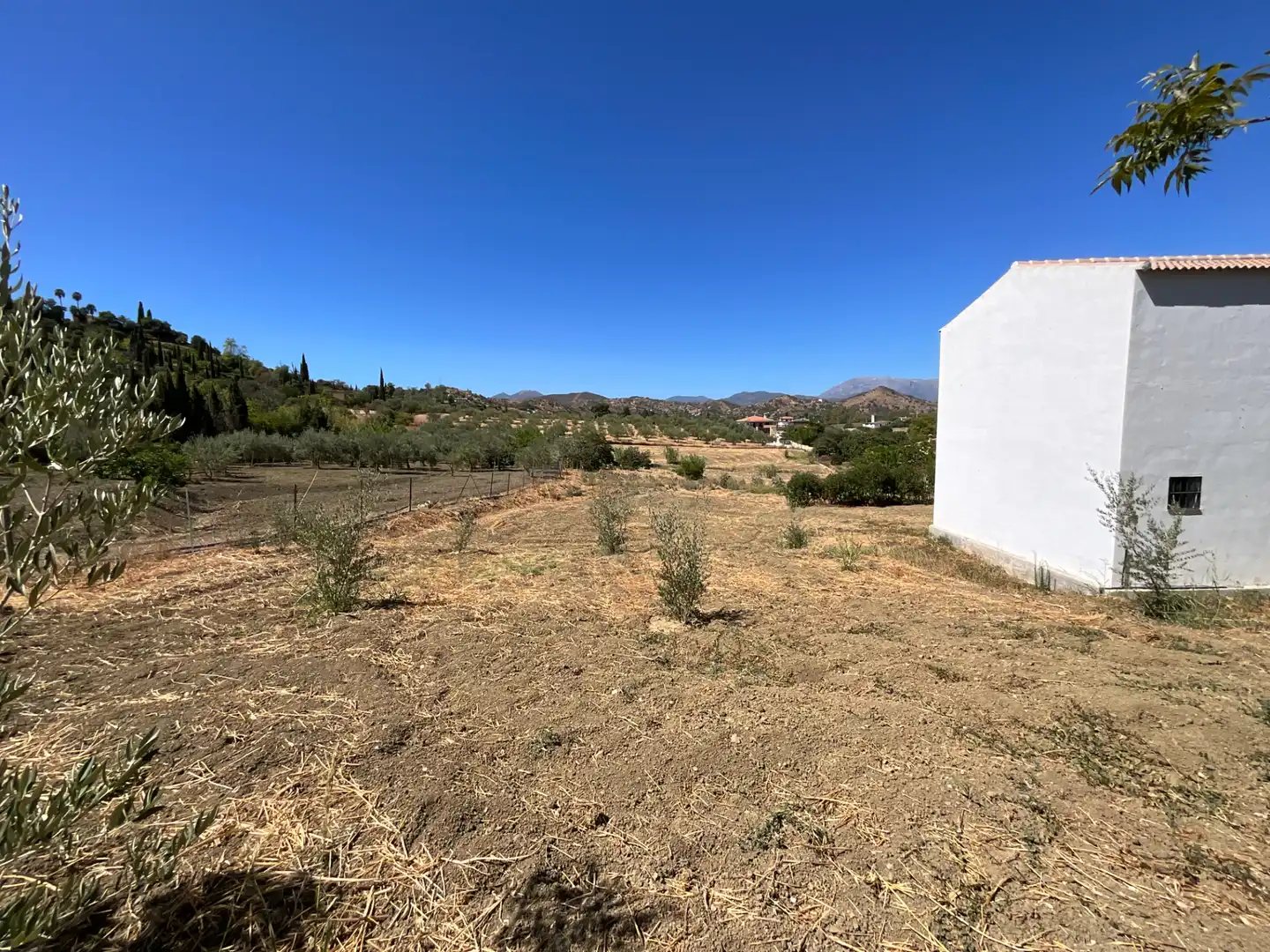 Finca rústica en venda en Coín