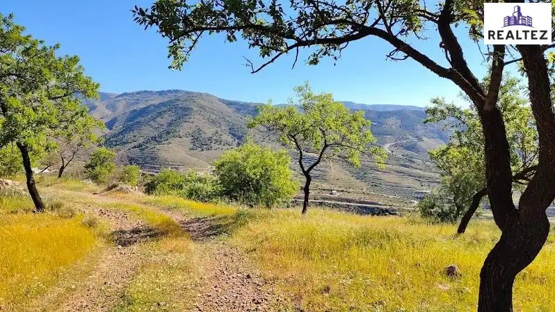Rural land for sale in Felix, imagen 25