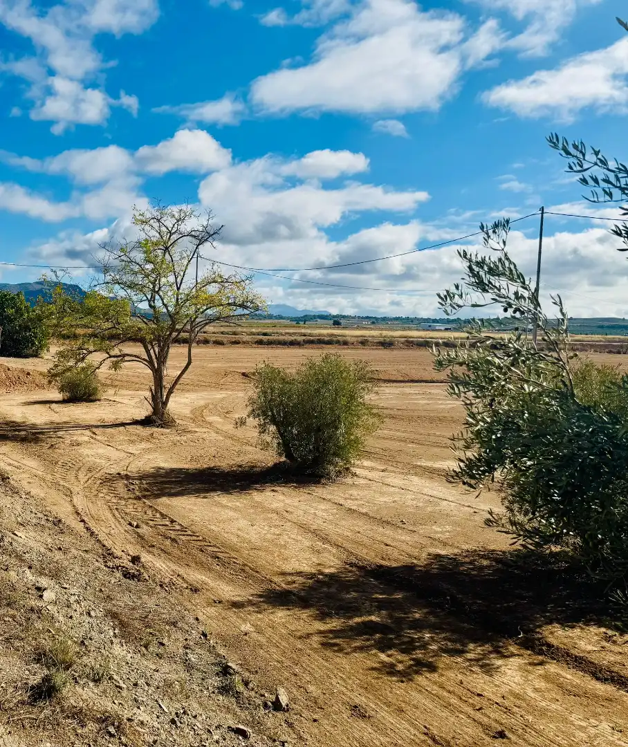 Residential land for sale in Pedanías Norte, imagen 6