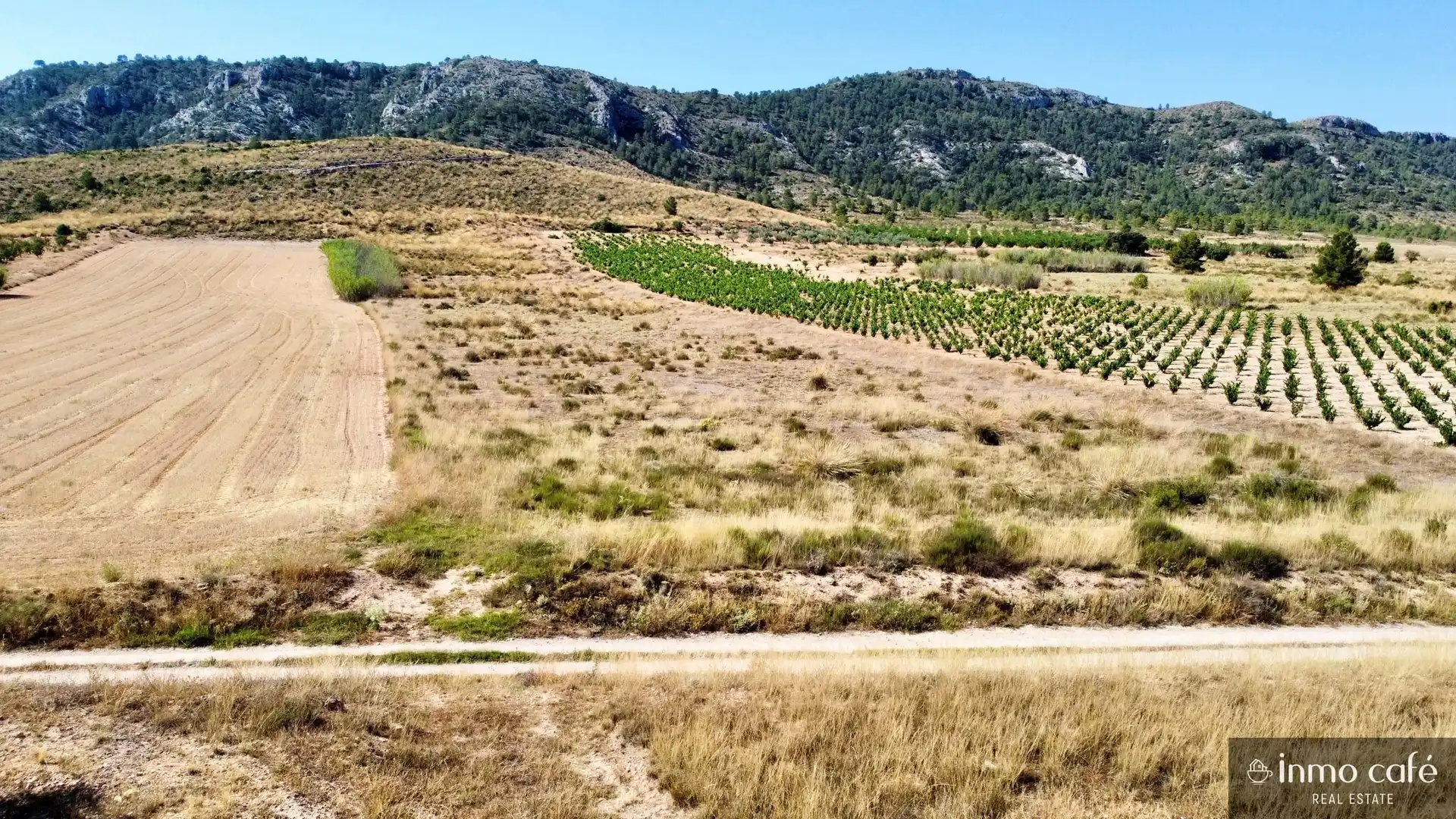 Terreno rustico in vendita a Parcela  CABEZO POLI., imagen 8