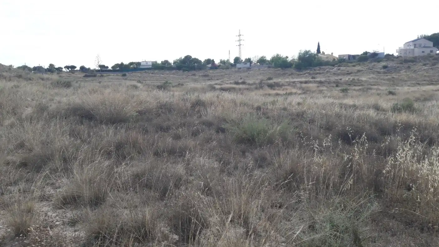 Terreni e lotti in vendita a La Huerta, imagen 8